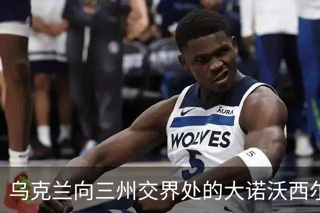 乌克兰向三州交界处的大诺沃西尔卡推进！夺取小迪布罗瓦