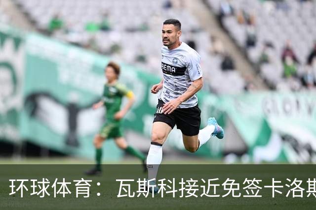 环球体育：瓦斯科接近免签卡洛斯-维尼修斯