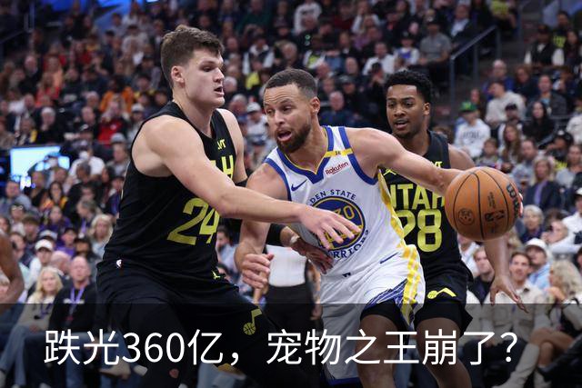 跌光360亿，宠物之王崩了？